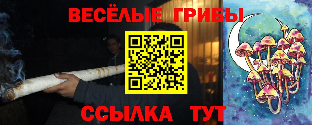 Галлюциногенные грибы GOLDEN TEACHER Шебекино