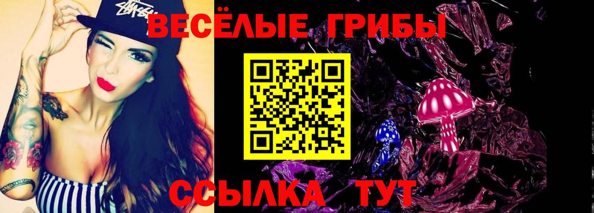 Шебекино  магазин    Вход с VPN  Псилоцибиновые грибы ЛСД 